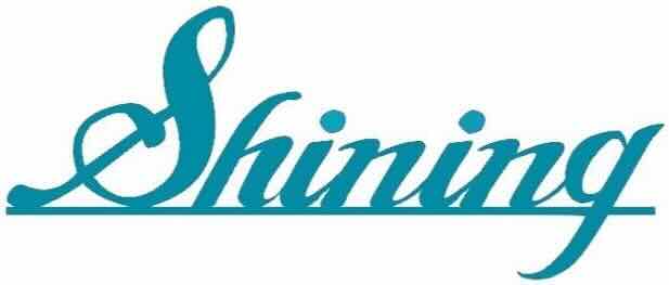 社会教育団体MKEシャイニングスター logo